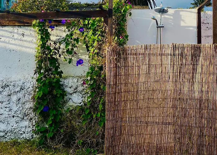 Casa Do Moinho Casa de Férias *